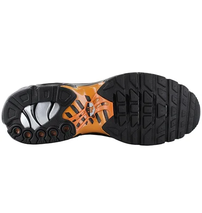 Кросівки чоловічі Nike Air Max Plus Black FN6949-400