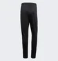 Штаны мужские Adidas Core18 Training Black CE9036