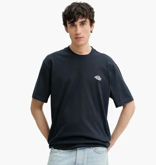Футболка мужская Dickies Summerdale Blue DK0A4YAIDNX1