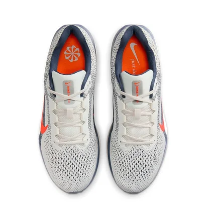 Кроссовки мужские Nike Air Winflo 11 Grey FJ9509-103