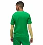 Футболка женская Air Jordan Lucky Green FJ2510-310