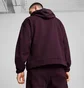 Толстовка мужская Puma Mapf1 Statement Violet 627303-08