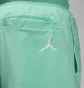 Шорты мужские Air Jordan Essentials Shorts Green FN4647-349