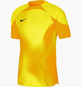 Футболка мужская Nike Jersey Dri-Fit Adv Gardien 4 Goalkeeper Ss Yellow DH7760-719