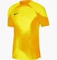 Футболка чоловіча Nike Jersey Dri-Fit Adv Gardien 4 Goalkeeper Ss Yellow DH7760-719