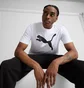 Футболка мужская Puma Essentials Big Cat White 678890-02