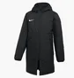 Куртка детская Nike Team Park 20 Winter Jacket Black Cw6158-010