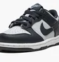 Кроссовки детские Nike Dulow Georgetown Black/Grey CW1588-004