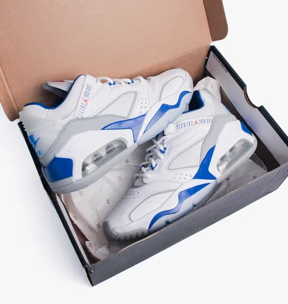 Кроссовки мужские Air Jordan Point Lane White CZ4166-101