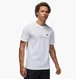 Футболка чоловіча Air Jordan Metallic Spring Graphic T-Shirt White Dv8418-100