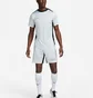 Шорти чоловічі Nike Hritg Wstpck-Rorschach White FN2413-043