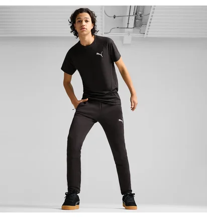 Штаны мужские Puma Evostripe Black 681702-01