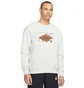 Свитшот мужской Air Jordan Statement Essentials Graphic White DH9035-141