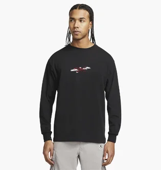 Футболка мужская Air Jordan Flight Essentials Black DH8962-010