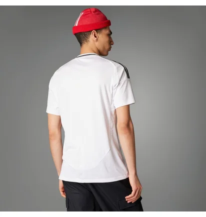 Футболка чоловіча Adidas Real Madrid 24/25 Home White IU5011