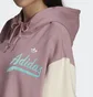 Худи женское Adidas Modern B-Ball Hoodie Brown Hd9784