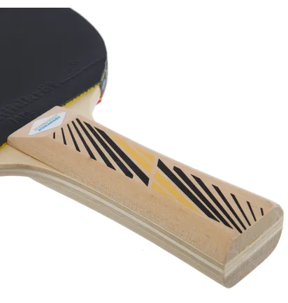 Ракетка для настольного тенниса Donic Legends 300 Fsc Black/Red 705234