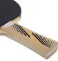 Ракетка для настольного тенниса Donic Legends 300 Fsc Black/Red 705234