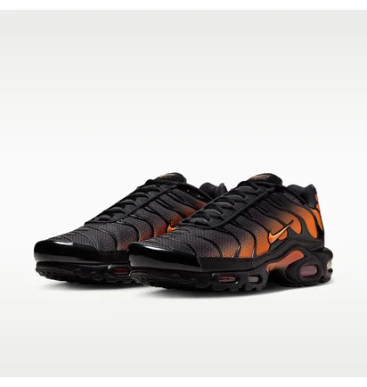 Кроссовки мужские Nike Air Max Plus MenS Shoes Black DM0032-025