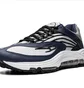 Кросівки чоловічі Nike Air Tuned Max Grey/Blue DH4793-400