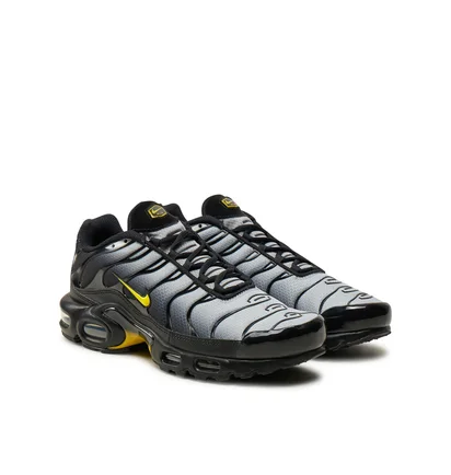 Кроссовки мужские Nike Tn Black DM0032-012