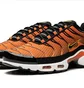 Кросівки чоловічі Nike Air Max Plus Orange DM0032-800