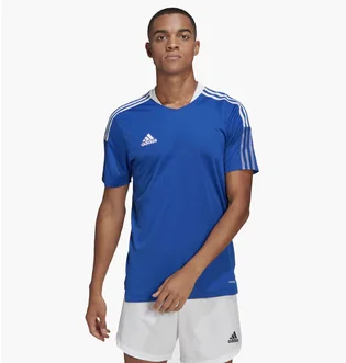 Футболка мужская Adidas Tiro 21 Training Jersey Blue Gm7589