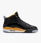 Кроссовки мужские Air Jordan Dub Zero Black 311046-017