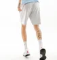 Шорты мужские AUSTRALIAN Fleece Essential Short Grey LSUSH0001-733