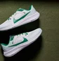 Кросівки чоловічі Nike Air Zoom Pegasus 40 Premium White FJ0329-100