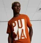 Футболка мужская Puma Outside The Box Logo Tee Orange 674615-64