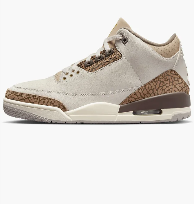 Кроссовки мужские Air Jordan 3 Retro Shoes Beige CT8532-102