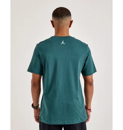 Футболка мужская Air Jordan Dri-Fit Tee Green FZ1925-366