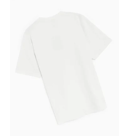 Футболка чоловіча Nike Acg T-Shirt White DQ1815-121