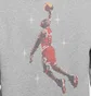 Худи мужское Air Jordan Essentials Grey DC9713-091