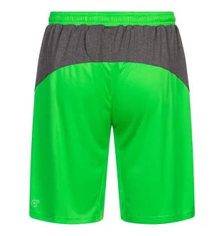 Шорты мужские Puma King Green 701701-43