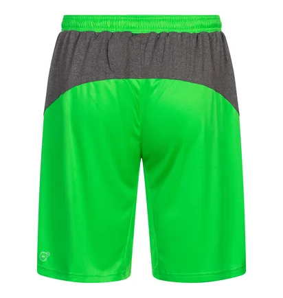 Шорты мужские Puma King Green 701701-43