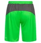 Шорты мужские Puma King Green 701701-43