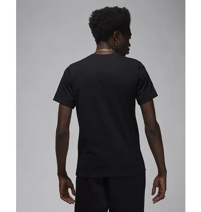 Футболка мужская Air Jordan T-Shirt Brand Black FN5978-010