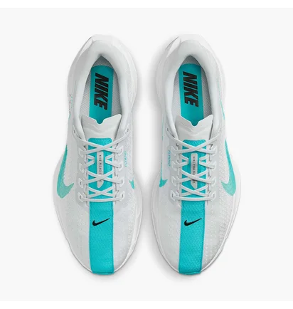 Кросівки чоловічі Nike Pegasus Plus Grey FQ7262-004