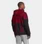 Худи мужское Adidas Balanta 96 Originals Bordo/Black FM3909
