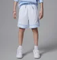 Шорты мужские Air Jordan Sport Dri-Fit Diamond Light Blue 95D313-J3H