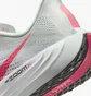 Кроссовки мужские Nike Pegasus Plus Road Running Shoes White FQ7262-001
