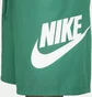 Шорти чоловічі Nike Club Woven Shorts Green FN3303-365