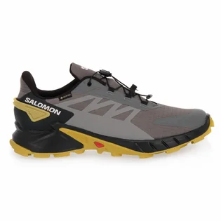 Кроссовки мужские Salomon Supercross 4 Gtx Grey/Brown 473172