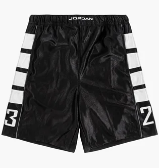 Шорти чоловічі Air Jordan Brooklyn Cat Black HV0560-013