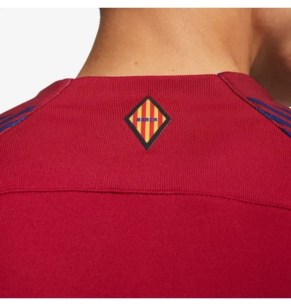 Олімпійка чоловіча Nike Fc Barcelona 23/24 Academy Anthem Jacket Gx Red/Blue FB3043-620