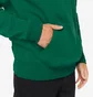 Худи мужское Adidas Sportswear All Szn Hoodie Green IJ9426