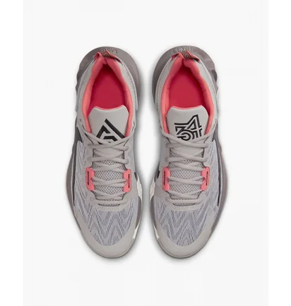 Кроссовки унисекс Nike Giannis Immortality 2 Grey DM0825-003
