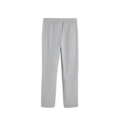 Штаны мужские Puma Pumatech Grey 688046-63
